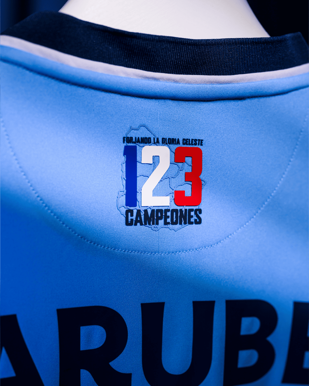 Imagen eliminada.