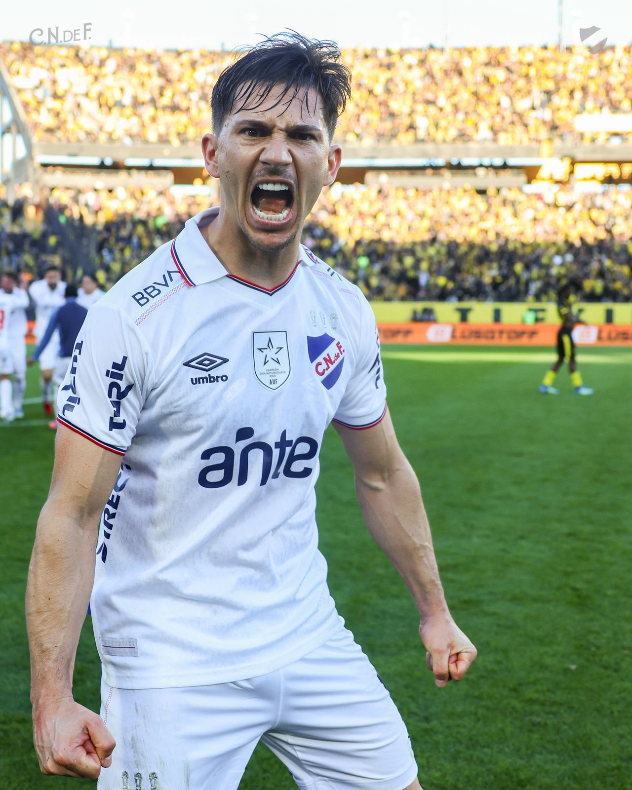 Imagen eliminada.