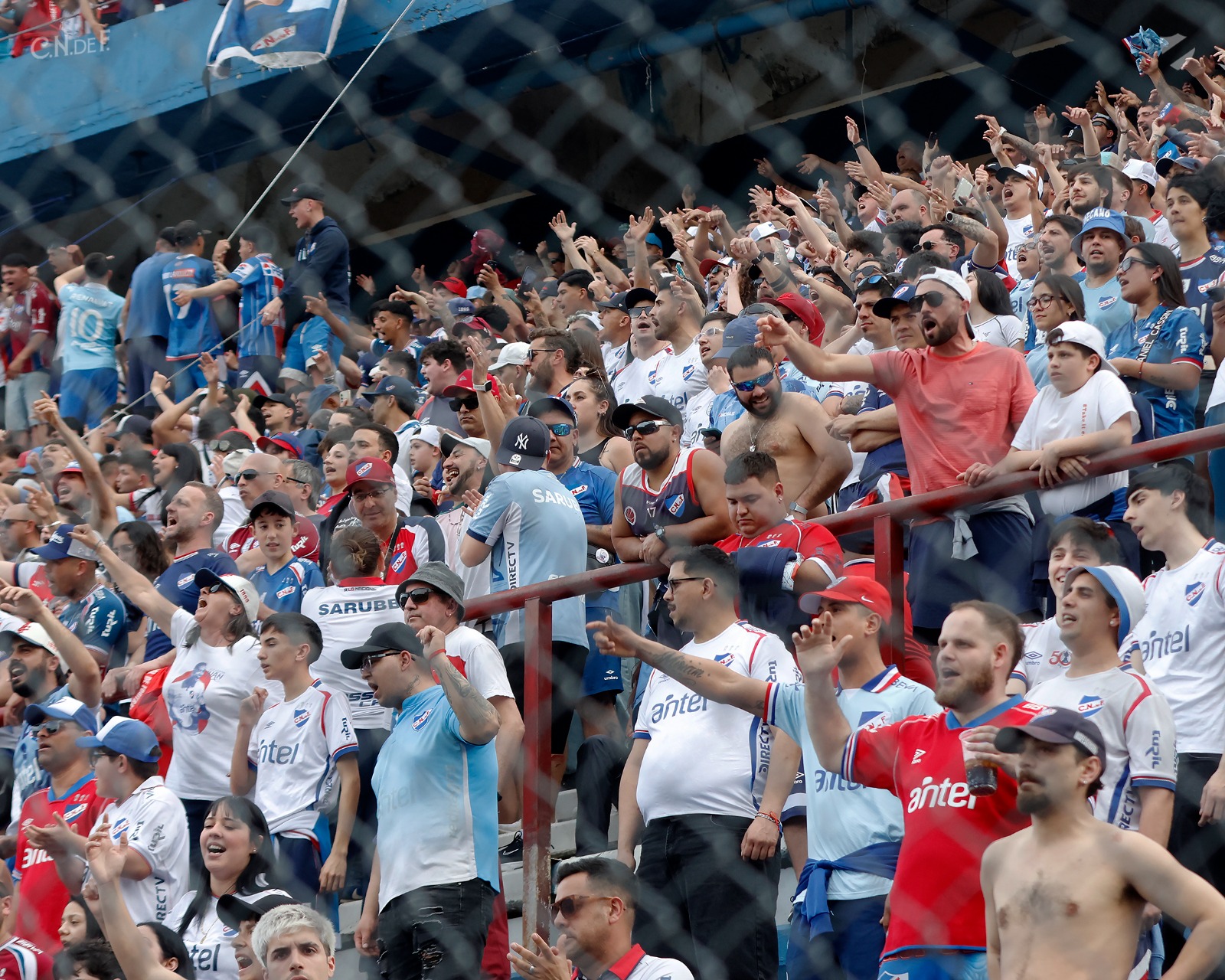 Imagen eliminada.